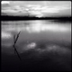 Illustration for article titled Photo Mission Gallery: Black and White